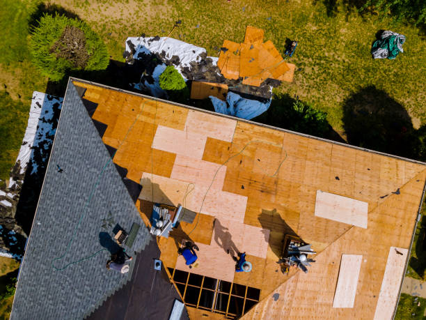 Best Metal Roofing Contractor  in Petersburg, WV