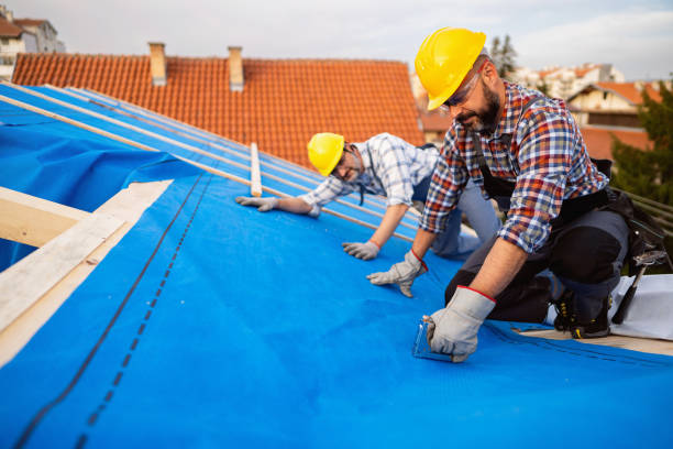 Best Roof Gutter Cleaning  in Petersburg, WV