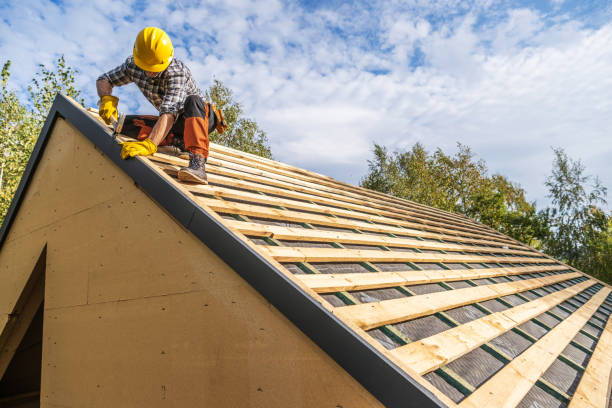 Best Roof Repair Services  in Petersburg, WV