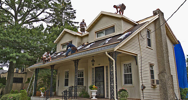Best Local Roofing Companies  in Petersburg, WV